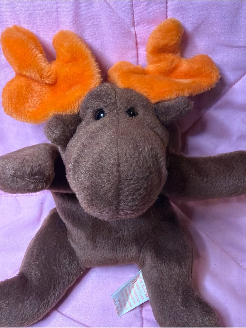 Ty Beanie Baby Chocolate the Moose  DOB April 27, 1993
